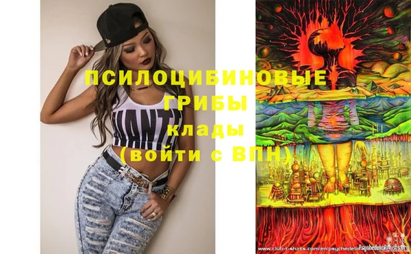 индика Михайловск