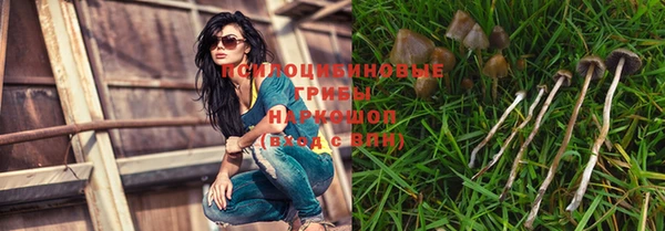 стаф Наволоки